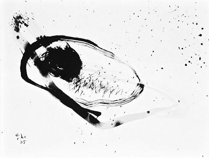 5-2005 liegend 51x66 chf 2000.jpg